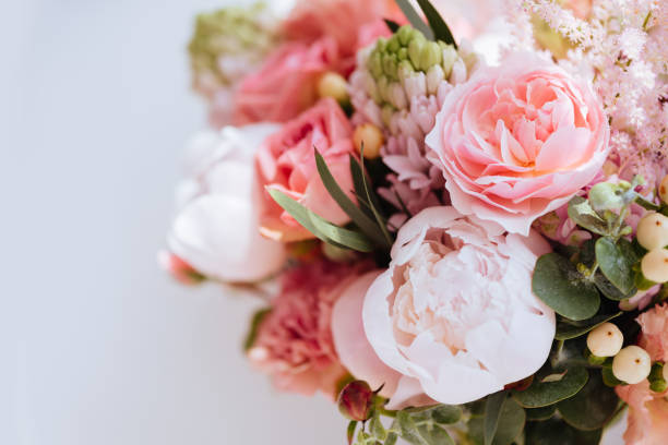 istock Beautiful blossoming flowers. 1081679188