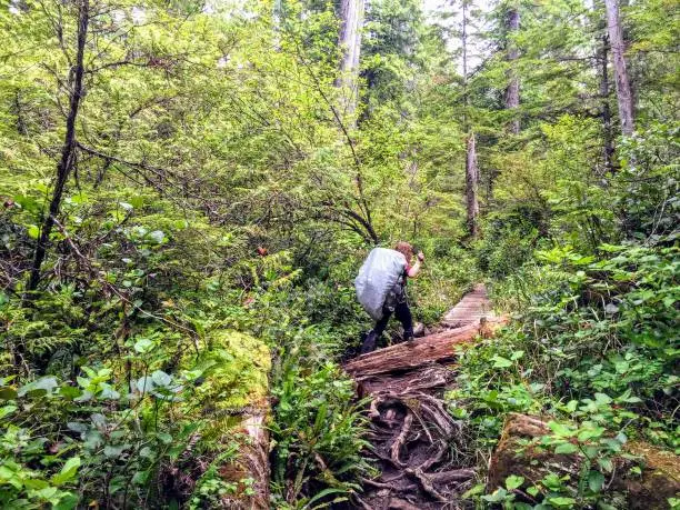 Photo of A young female hiker making her way through the forests of Vancouver island on the famous West Coast Trail hike in British Columbia, Canada.