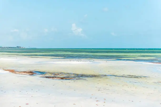 Key West, USA pier park landscape in Florida at ocean, sea near beach, coast, coastline, shallow green water tide