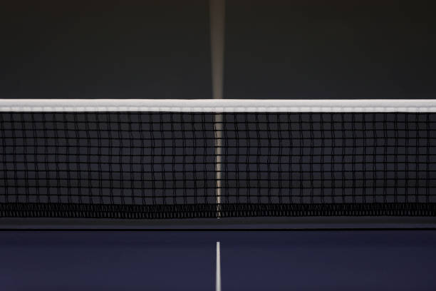 istock Net on blue ping pong tennis table 1081689104