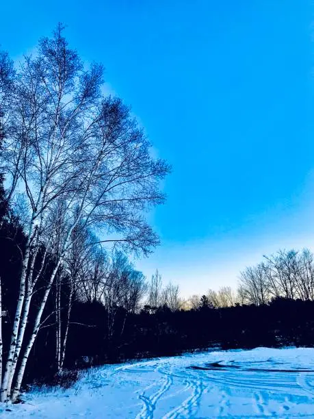 The natural light of nature’s snow fall is brighter than the moon and the stars of the sky