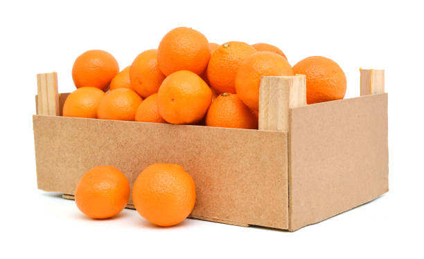 istock A wood rustic crate full of Clementine Mandarin Oranges. 1081706376