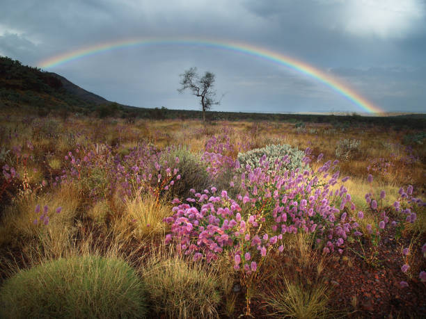 Spring Thunderstorm in Karijini National Park stock photo