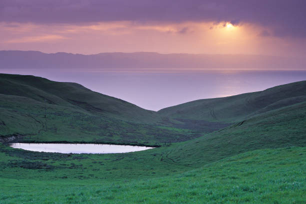 ドレイク湾 - point reyes national seashore northern california beach california ストックフォトと画像