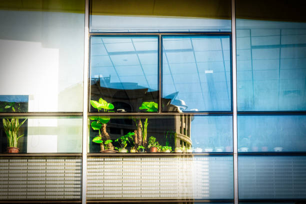 istock Green plants behind the glass wall 1081745460