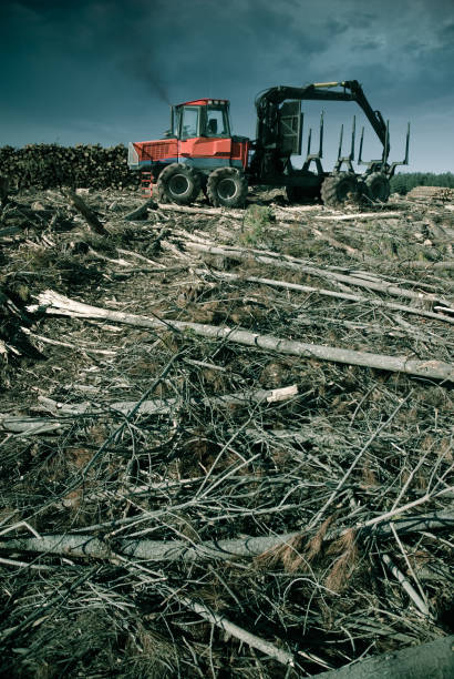 View of machine depicting remnants of deforestation 
