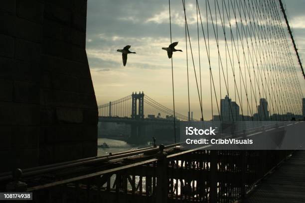 Photo libre de droit de Silhouette Doies Volant Passé De Manhattan Et Brooklyn Bridge banque d'images et plus d'images libres de droit de Oie - Oiseau des rivières