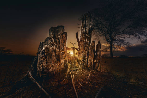 istock Brazilian Landscapes 1081749390