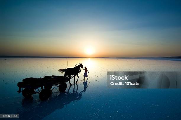 Auf Dem Wasser Stockfoto und mehr Bilder von Forschungsreisender - Forschungsreisender, Pferdekarre, Arbeitstier