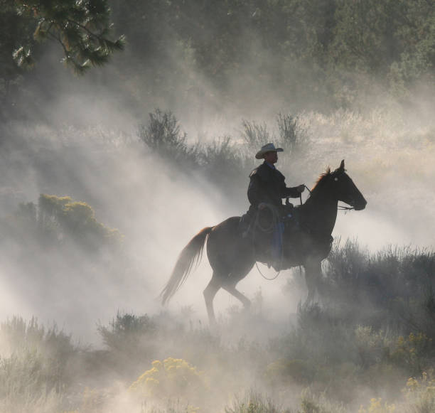 istock Lone Cowboy in early morning mist and shadows 108175185