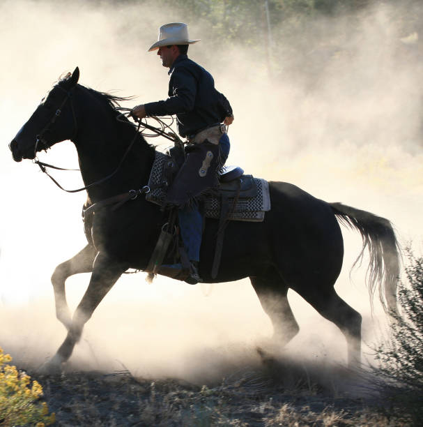 istock Lone Cowboys galloping close up in early light and dust 108175186