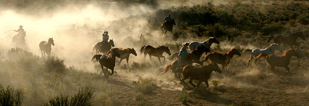 말이었습니다 카우보이즈 및 wranglers 시리즈 3 - wild west 뉴스 사진 이미지