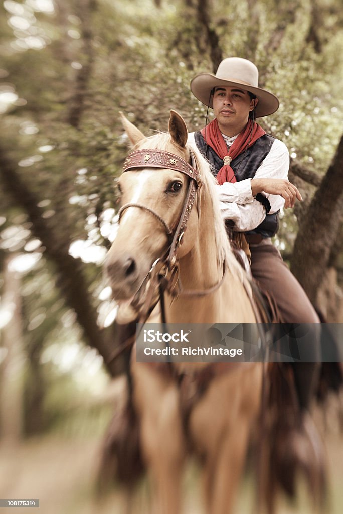 Cavaliere e il suo cavallo - Foto stock royalty-free di Cavallo - Equino