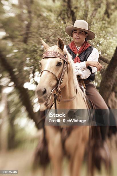 Cavaliere E Il Suo Cavallo - Fotografie stock e altre immagini di Cavallo - Equino - Cavallo - Equino, Adulto, Albero