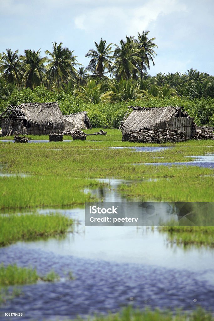 African Village w Wetlands - Zbiór zdjęć royalty-free (Benin)