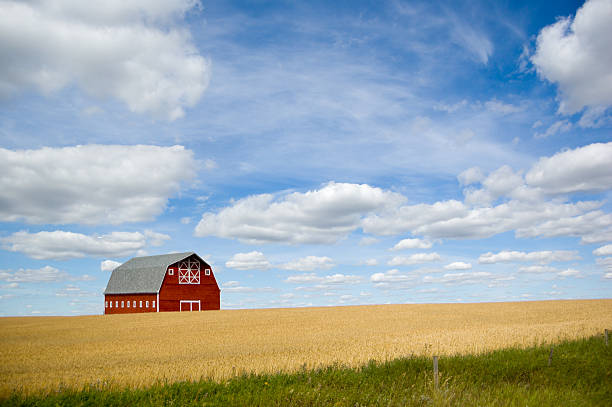 istock Red Barn, Grain Crop, and Summer Sky 108175493