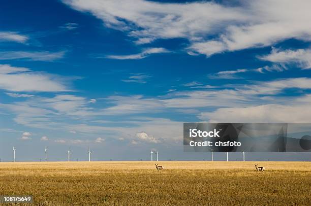 Windturbinen Und Antelope In Großen Field Stockfoto und mehr Bilder von Texas - Texas, Westen, Windkraftanlage