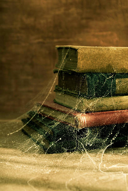 antichi vecchi libri illustrati in cobwebs - book dust old retro revival foto e immagini stock