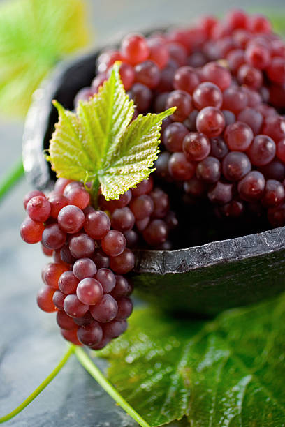 Champagne Grapes