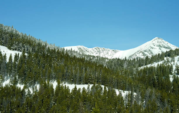 istock Amazing snowy mountain range under clear blue sky. 1081758276