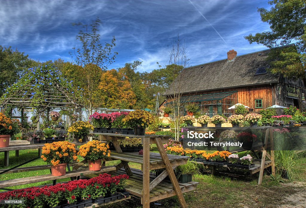 HDR autunno presso il centro per il giardinaggio - Foto stock royalty-free di Autunno
