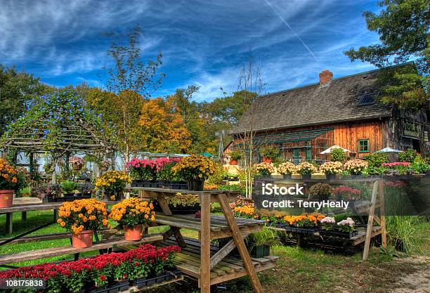 Hdr Autunno Presso Il Centro Per Il Giardinaggio - Fotografie stock e altre immagini di Autunno - Autunno, Centro per il giardinaggio, Fienile