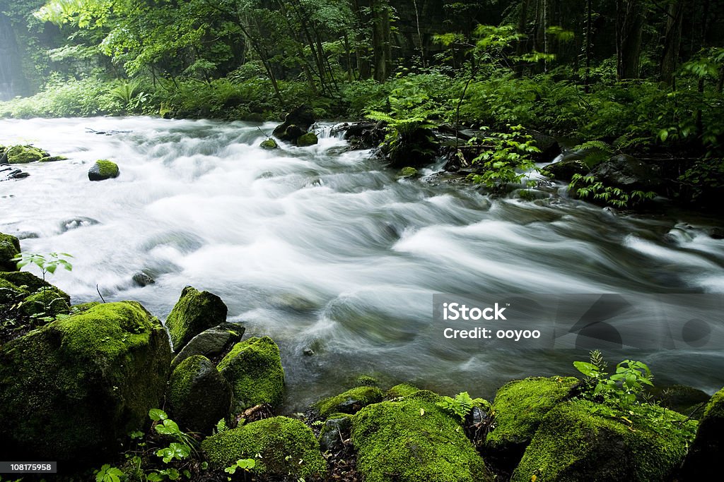 Mountain stream - Lizenzfrei Baum Stock-Foto