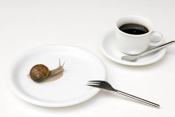 istock Snail Crawling on White Plate with Coffee Cup Near 108175960