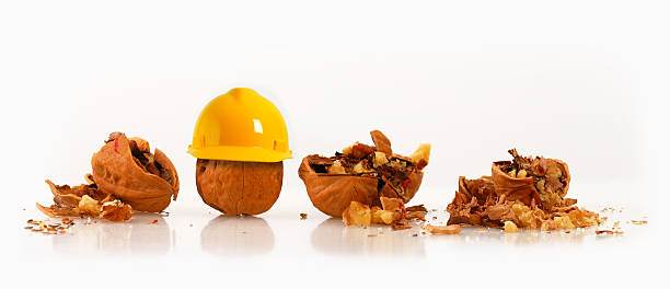 Walnut Wearing Hard Hat Beside Other Crushed Nuts stock photo