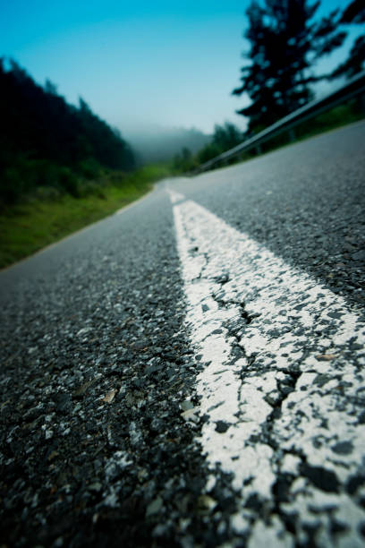 Asphalt road with white lane runs through the forest in autumn evening.