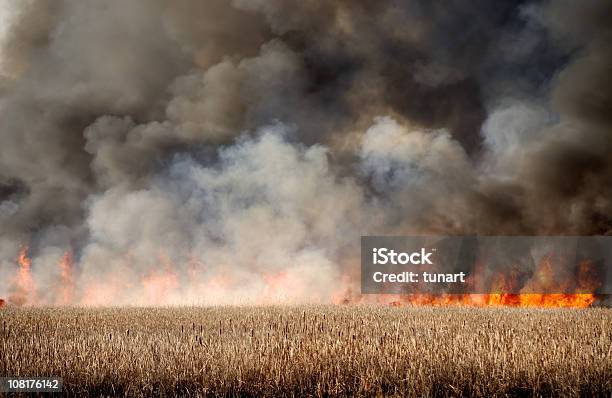 Feuer In Dry Marsh Stockfoto und mehr Bilder von Klimawandel - Klimawandel, Wärme, Feuer