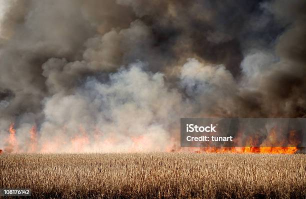 Огонь В Сухой Болотный — стоковые фотографии и другие картинки Жар - температура - Жар - температура, Изменение климата, Огонь