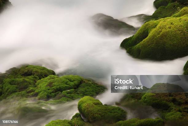 Photo libre de droit de Mossy Rocks Dans Stream banque d'images et plus d'images libres de droit de Algue - Algue, Beauté de la nature, Couleur verte
