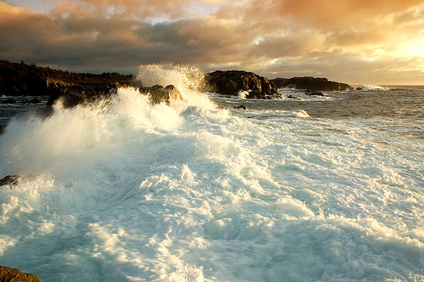 Free Stock Photo of Dramatic ocean waves crashing against rocky shore ...