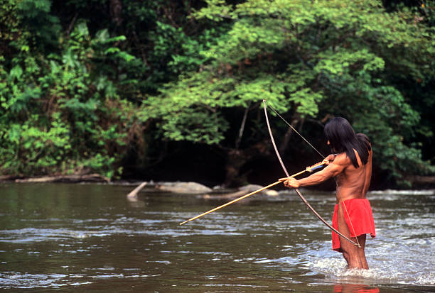 Indigenous Man Hunting in Amazon Photo made in an indigenous village in the middle of the Amazon amazonas state brazil stock pictures, royalty-free photos & images