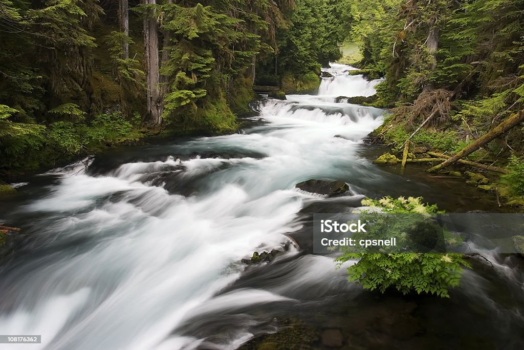 Río McKenzie está rodeado de exuberante vegetación - Foto de stock de Corriente de agua - Agua libre de derechos