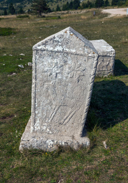 170+ Isla Bouvet Fotos Fotografías de stock, fotos e imágenes libres de
