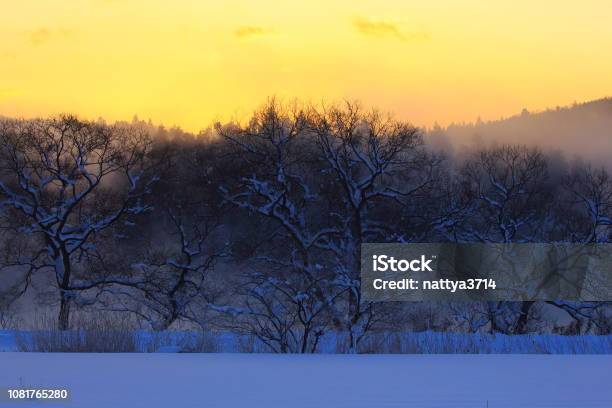 Paisaje De Invierno Foto de stock y más banco de imágenes de Aire libre - Aire libre, Amanecer, Belleza de la naturaleza