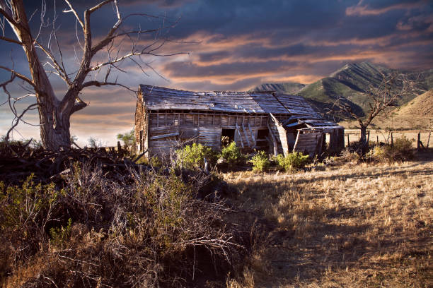 Cabin amid autumn colors in southwest Colorado near Lake City.