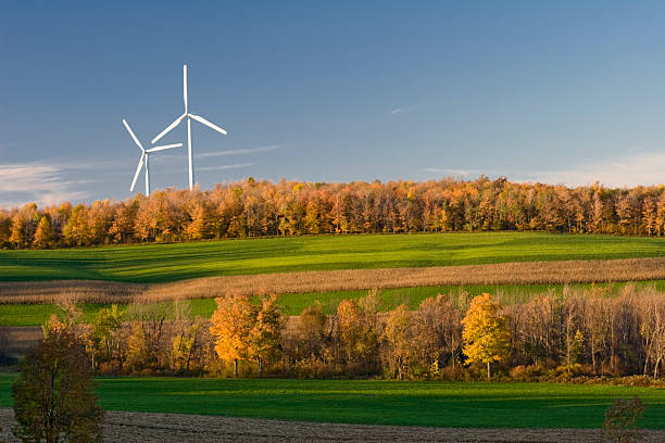 A wind turbine is a device that converts the kinetic energy of wind into electrical energy.