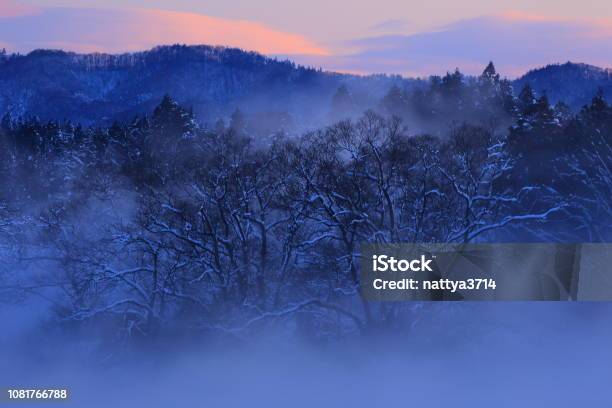 Paisaje De Invierno Foto de stock y más banco de imágenes de Aire libre - Aire libre, Amanecer, Belleza de la naturaleza