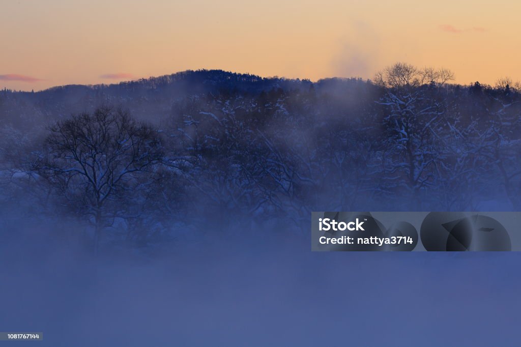 paisaje de invierno - Foto de stock de Aire libre libre de derechos