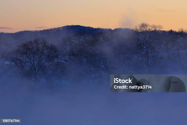 Paisaje De Invierno Foto de stock y más banco de imágenes de Aire libre - Aire libre, Amanecer, Belleza de la naturaleza