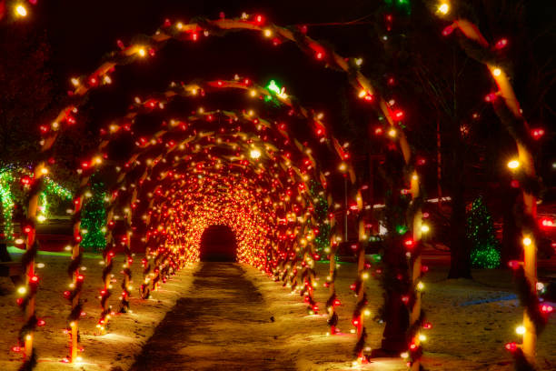 istock Tunnel of Christmas arches 1081767254