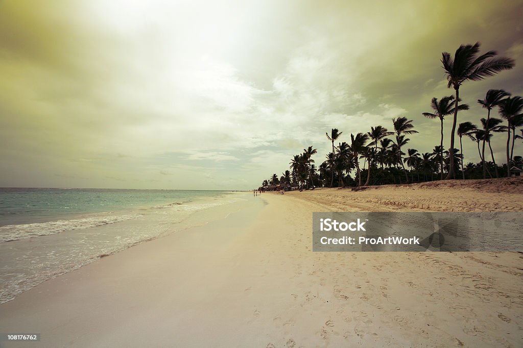 Windy scène de plage à l'aube - Photo de Tempête tropicale libre de droits