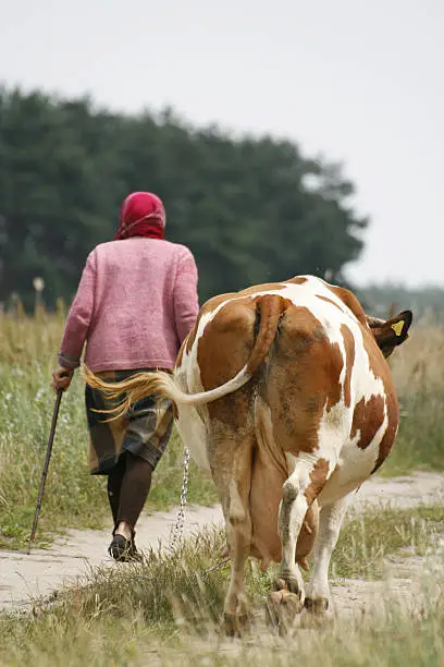 Woman with the cow - Poland village

[url=http://www.istockphoto.com/file_search.php?action=file&lightboxID=8732164][img]http://www.avalonstudio.eu/istock/vetta.jpg[/img][/url]
[url=http://www.istockphoto.com/file_search.php?action=file&lightboxID=8790102][img]http://www.avalonstudio.eu/istock/agriculture.jpg[/img][/url]