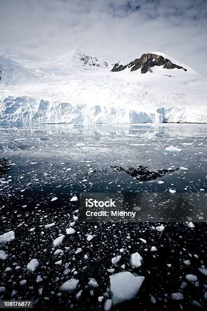 Антарктика Впечатление — стоковые фотографии и другие картинки Антарктика - Антарктика, Без людей, Величественный
