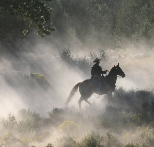 istock Dawn light and shadows on a lone Cowboys 108176912