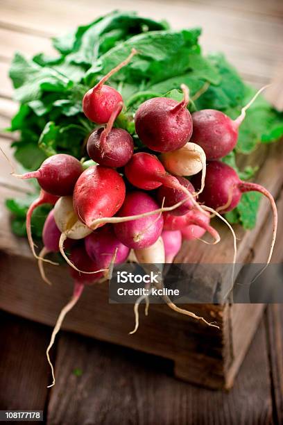 Photo libre de droit de Radishes banque d'images et plus d'images libres de droit de Radis - Radis, Aliment, Aliment cru