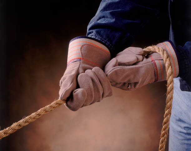 Hand Pull In 3,800+ Pulling On Gloves Stock Photos, Pictures & Royalty-Free Images ...